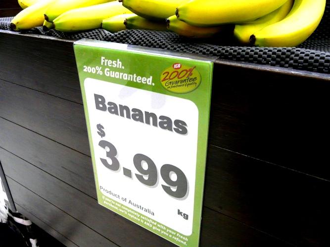 A4 Dump Bin Sign Holder PVC